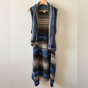 Anthropologie Blue and Gray Striped Sweater Vest